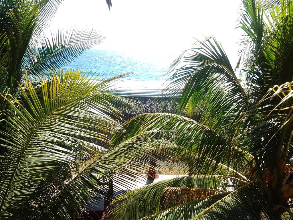 Villa Tortugas 몬테리코 외부 사진